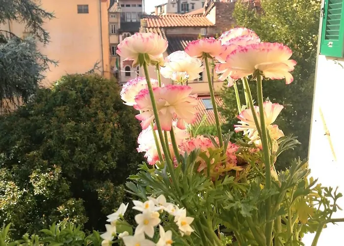 Bed And Breakfast Evelina
