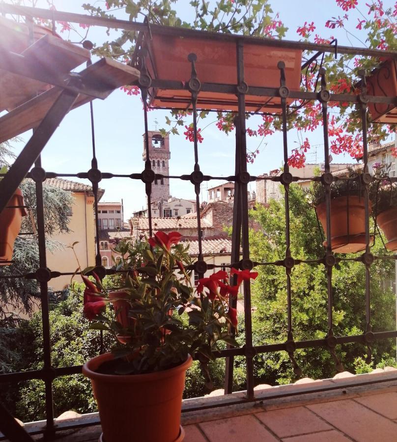 Bed and breakfast Evelina Lucca